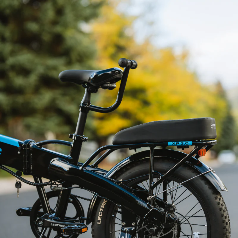 Buddy Seat [CA] - Image 6