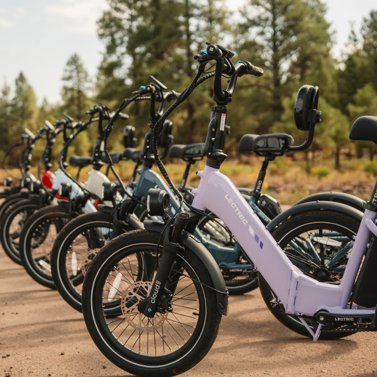 XP Trike2 750 Lavender Haze eTrike [CA] - Image 11